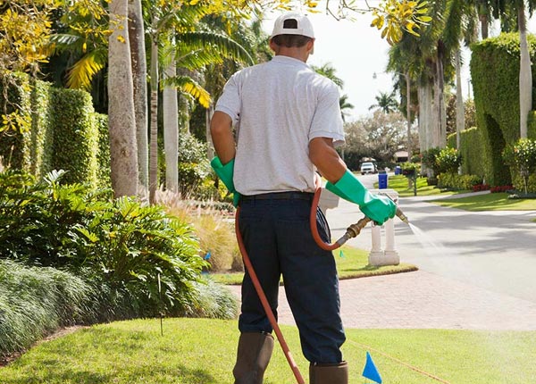 About Elizabeth PA Pest Control Pros